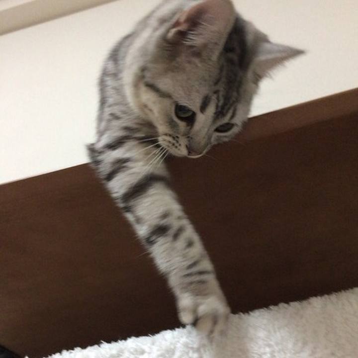 8e09d9aa e73f 4d88 a41e ac3b9f0693fc