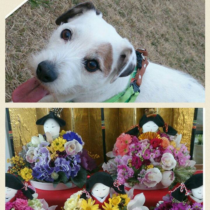 8e0a8797 28d0 4ff7 98a6 6dd015f646dd