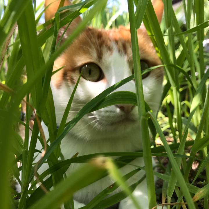 8e0bd517 0e74 44b0 b030 90875e284c26