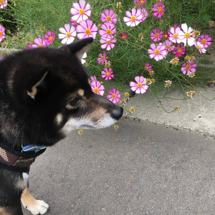 8e0c2428 8cbd 4b47 86be 56f30443aa41