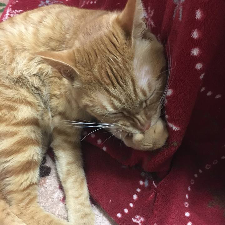 8e0c401a b25d 4679 8372 4d5ed628a4d6