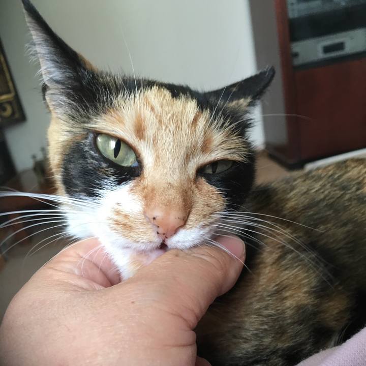 8e0c67ac 9c7a 4621 a73f 9f6abfcaab76