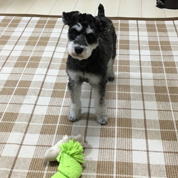 8e0c6f2f cd49 434f 9304 bc157e1779d0