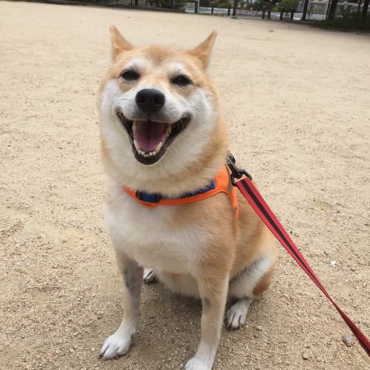 8e0cabc1 206e 44d3 b276 1a749e32d95f