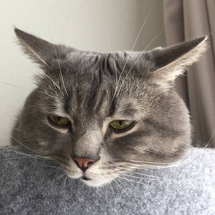 8e0cb882 ea85 4659 b938 0f9d4816f607