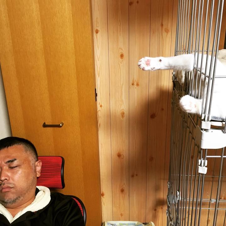 8e0cb990 f078 4ff0 b909 885b4395df1d