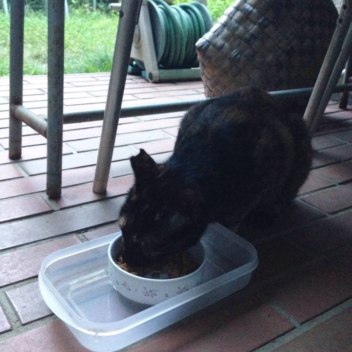 8e0d05d3 9ad7 47bd b582 08404a9aea7c