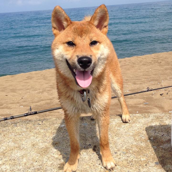 8e0d34a7 599d 4923 9141 517a7105abec