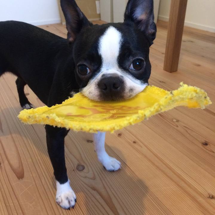 8e0d6d13 bed4 4b42 b84e 57f07dc77daf