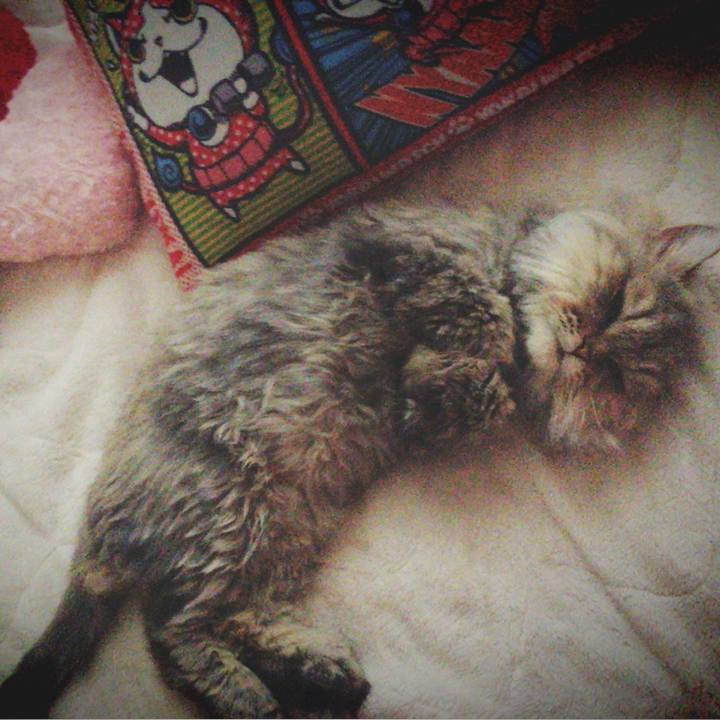 8e0d7b13 4d00 485f 85ef 58103076fae7