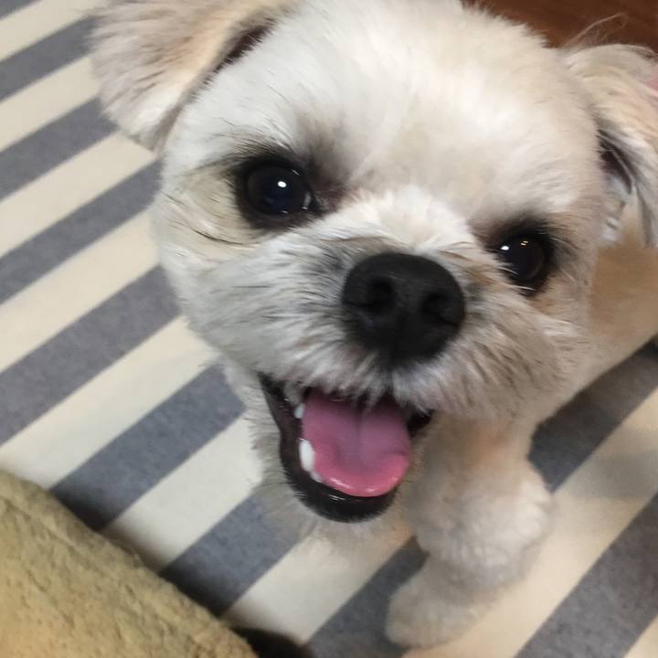 8e0d9da1 70de 4a06 a460 5402bd6f4101