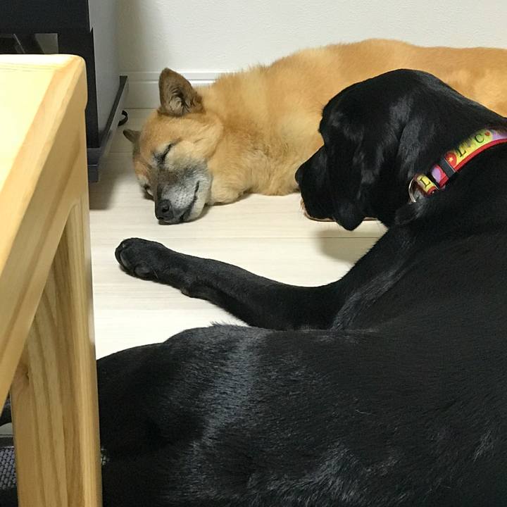 8e0dd188 3a11 477c 83ac daa0b7b0ceb5