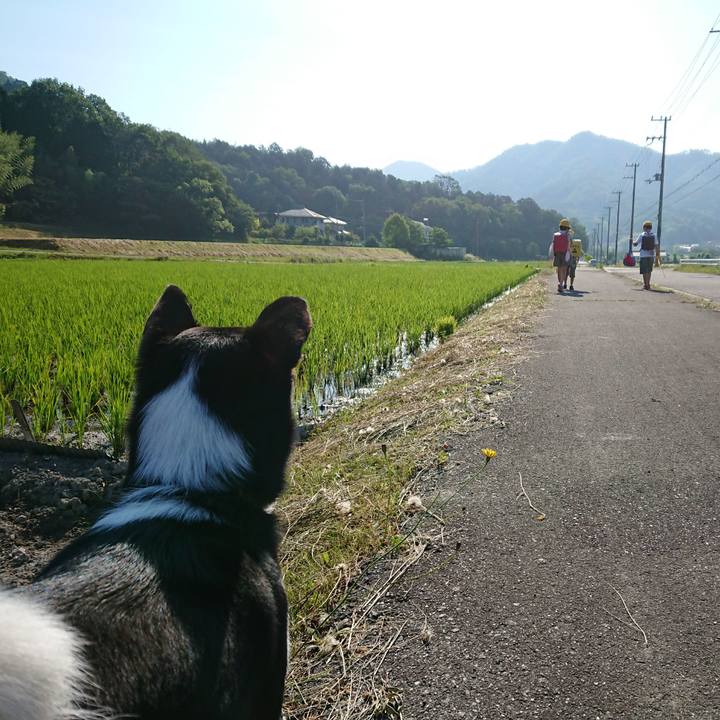 8e0ddecd 2dd4 4312 9136 30729683b4ee