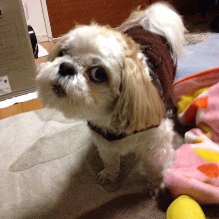 8e0ecf6c f2b0 4b00 ab6a 026d3f2324dd