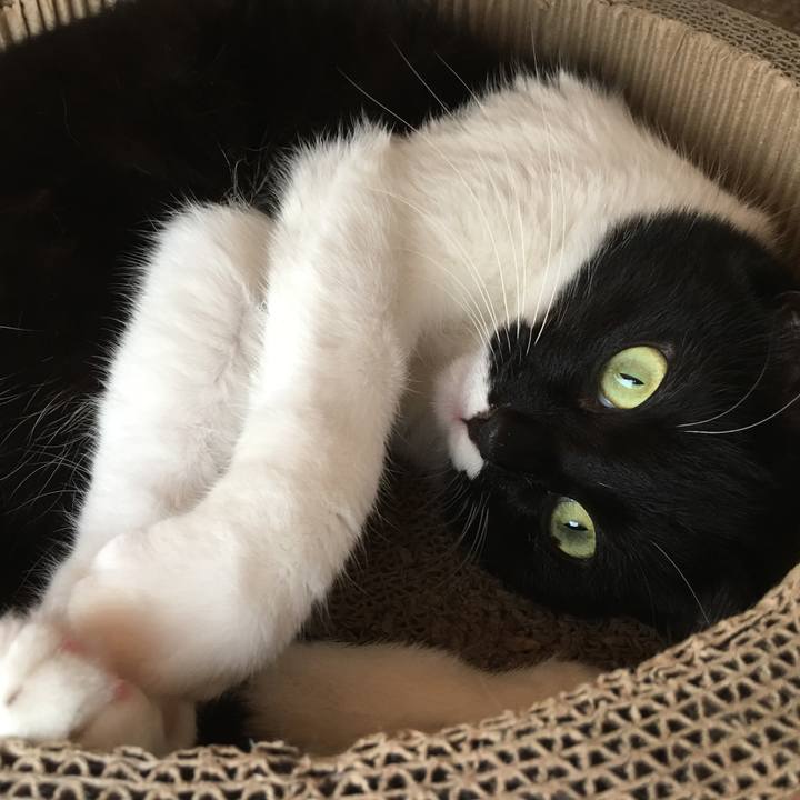 8e0f2e49 0a08 4085 ba04 4ffa4ac9db63