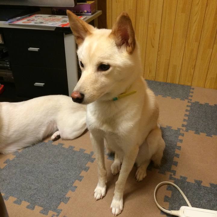 8e1091a6 e846 46a4 8fb4 142a074eb9bb