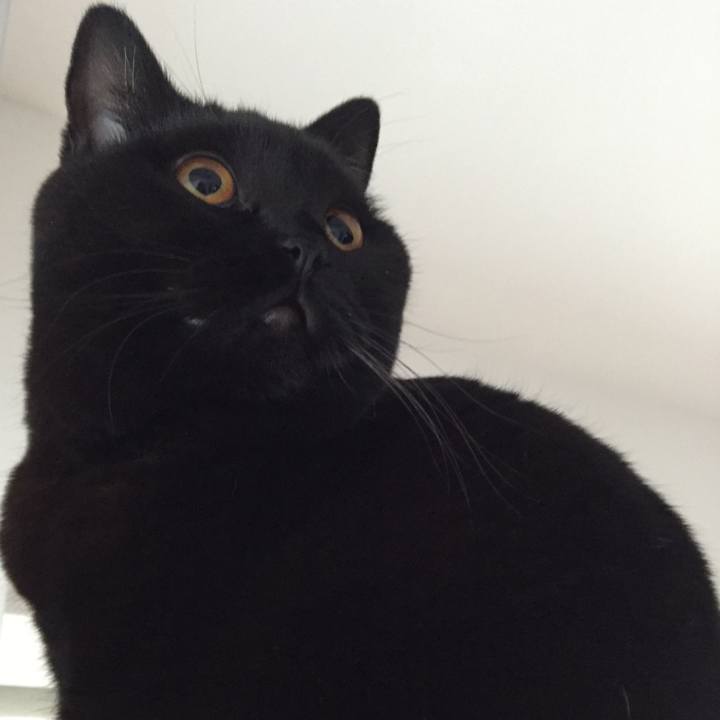 8e1099f5 70c3 4fde 961e 9f020d3c04bf