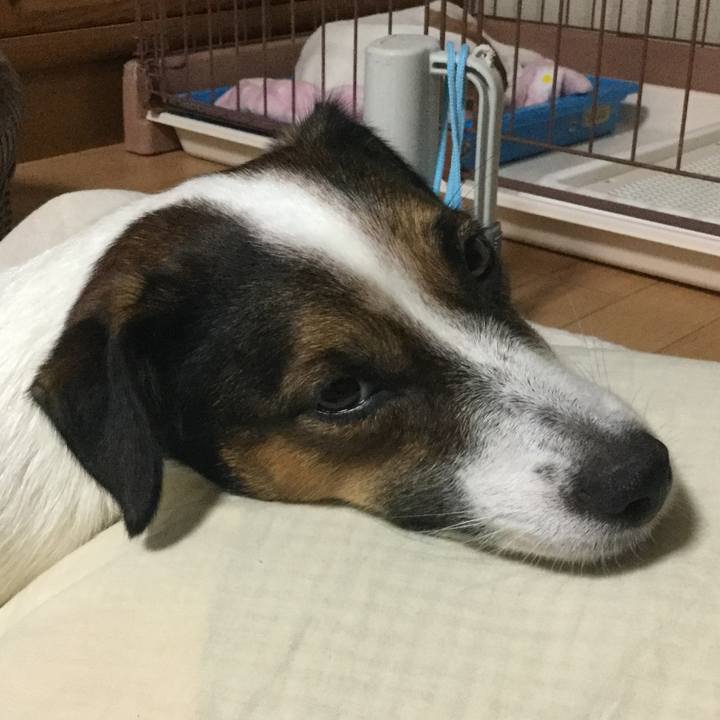 8e10be00 8b33 4de0 8cf7 29f0b3b3c85d