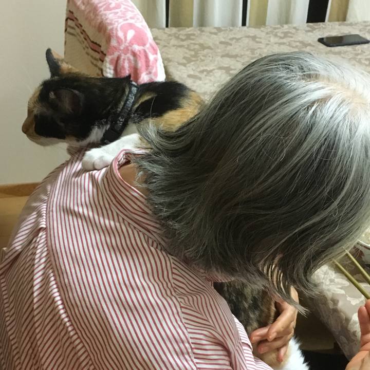 8e10d467 c17d 44f4 8f74 7b120b7e7ed2