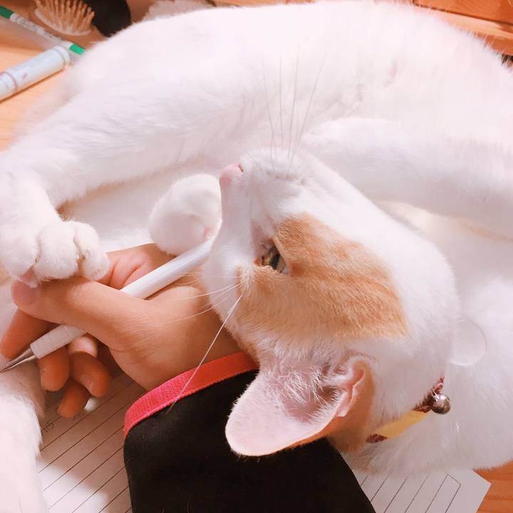 8e10f400 f004 464f a495 2c5a2a0f674f