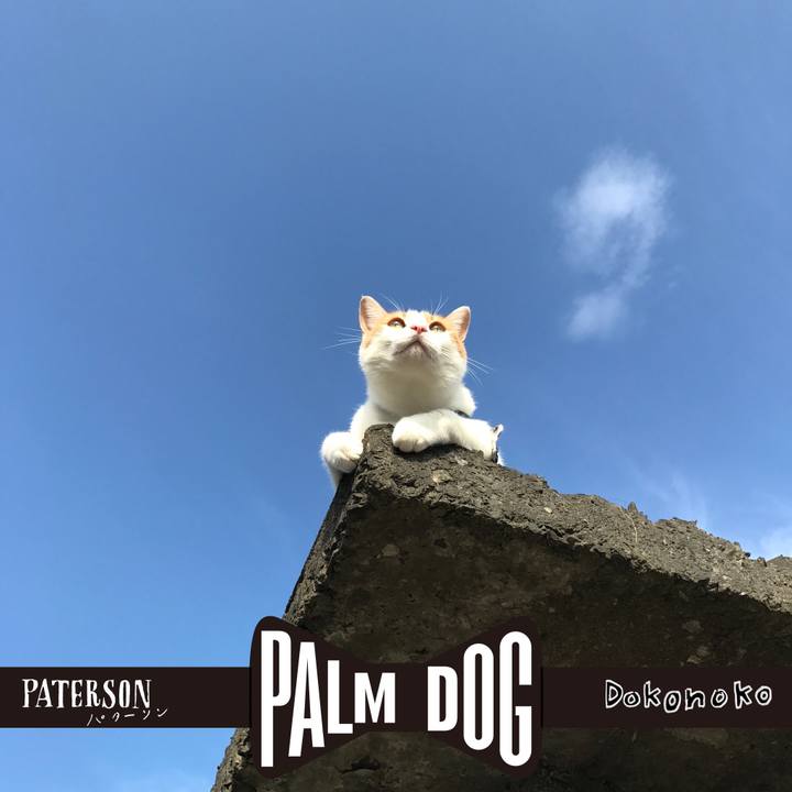 8e1124b1 1188 4050 9fc5 378362fac984