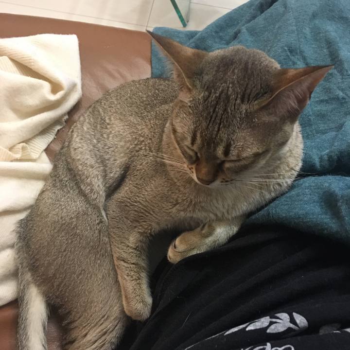 8e11abcf 2190 4163 8213 51301b0033c0