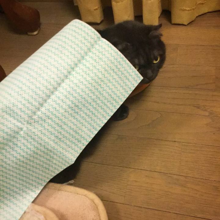 8e129518 0c84 4bb8 b0cb d1863f0ce416