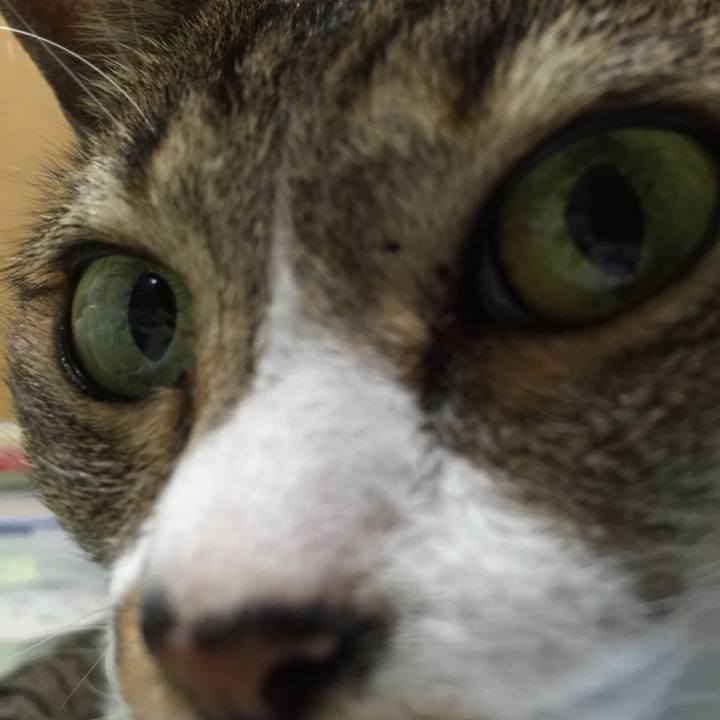 8e12afd4 8929 45c1 88c7 2ba7c4242d43