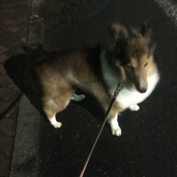 8e13331b b47e 4bcb 8e8b 2c088e1a51ac