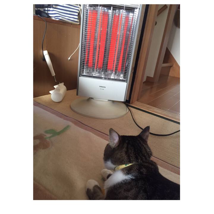 8e148a89 4bd9 41ce ac31 f9473e80ea07