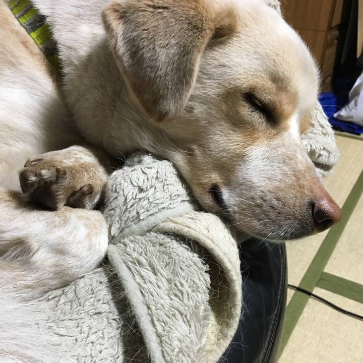 8e15d205 8faf 40c8 a467 09b3344890bf