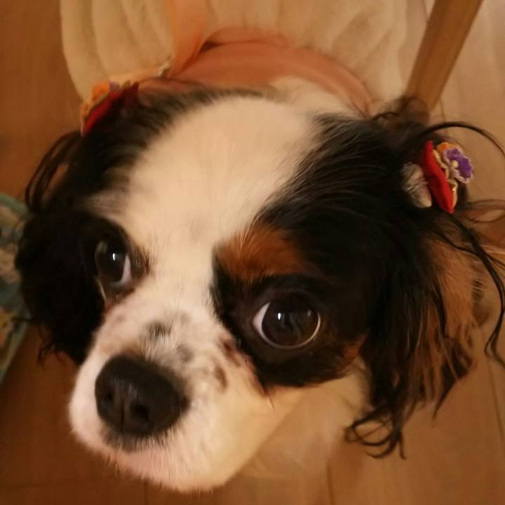 8e162da8 c0a5 4c45 b9be 82a52fec3eb9