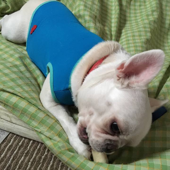 8e173164 cbcf 404d 8e73 ea402c539c46