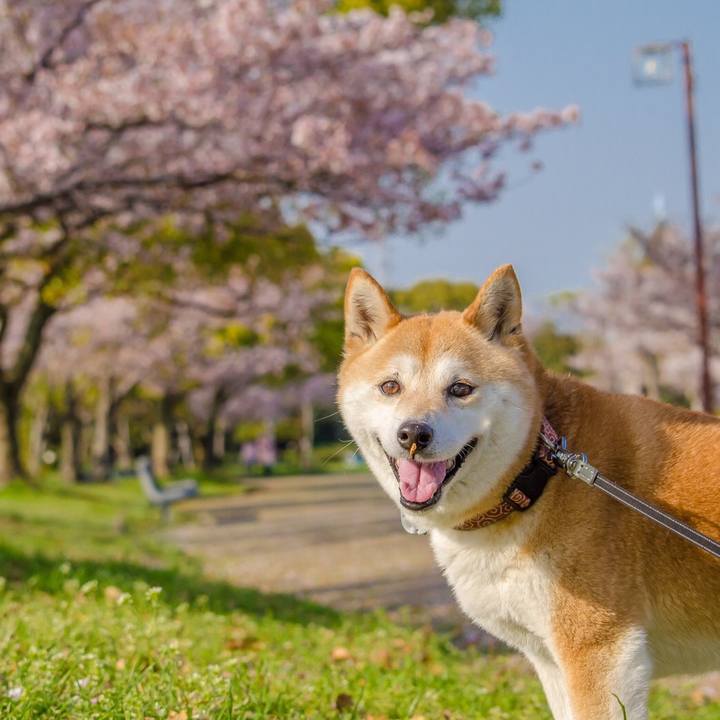 8e179f78 9e3b 425e 8057 f33ef7b233c3