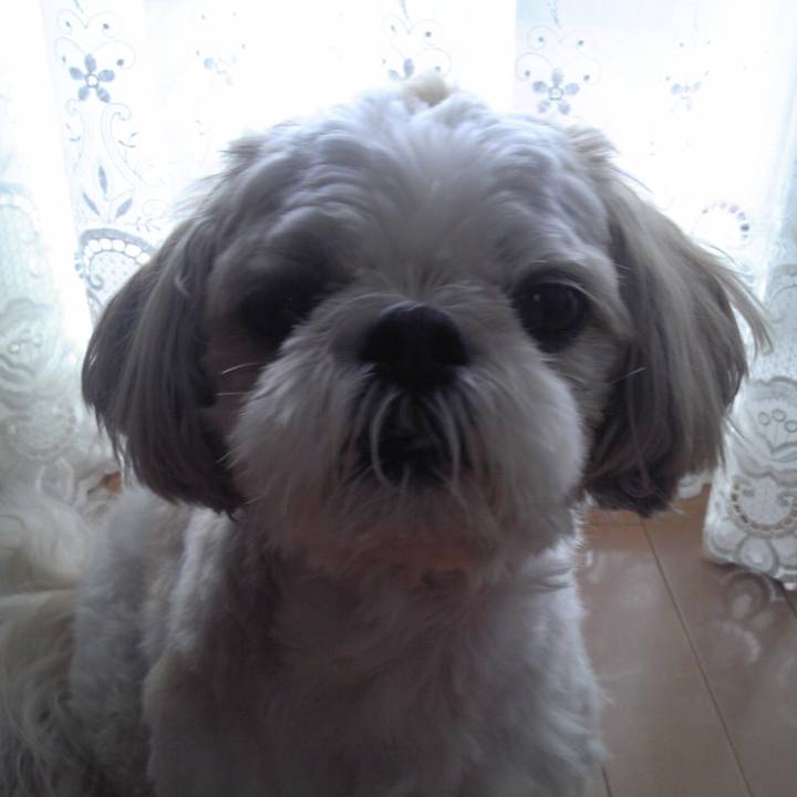 8e184d8e 9454 45ce b08a bfbf2d35a8ce