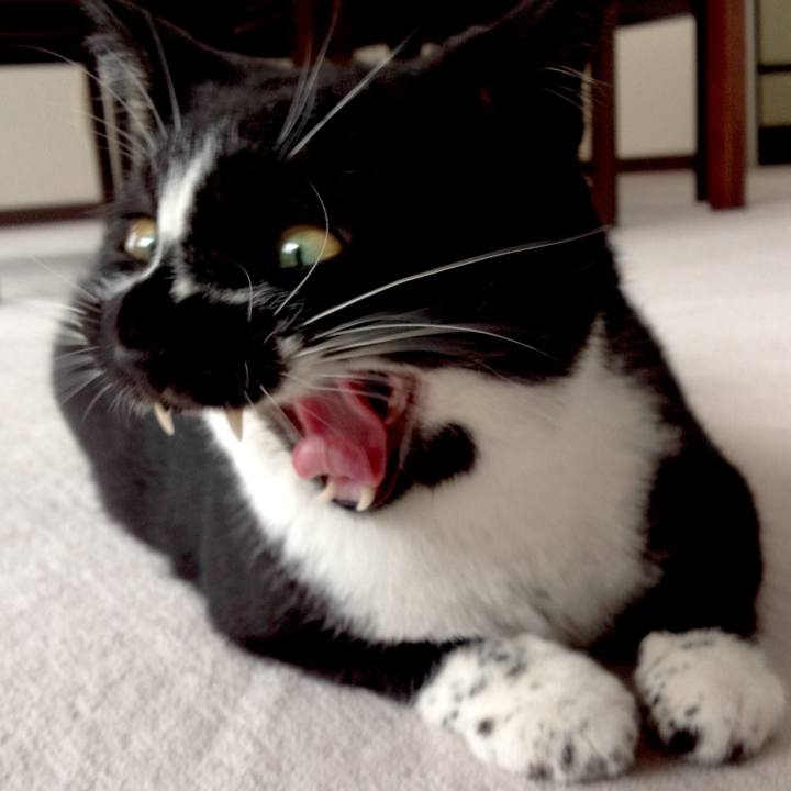 8e1888a6 bb85 47d1 b4a4 8af15ff899c8