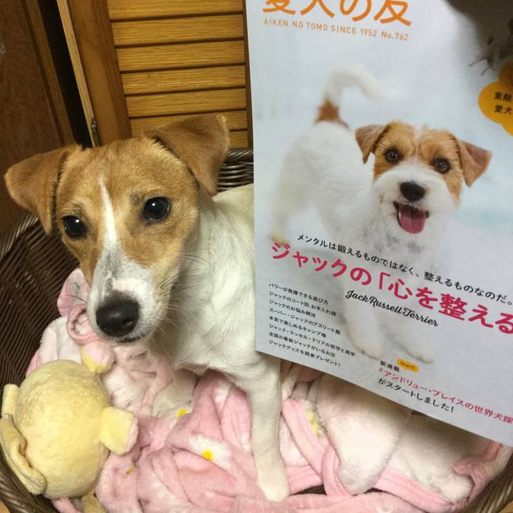 8e18c824 7f7d 40f1 98f5 502b7cbcaa89