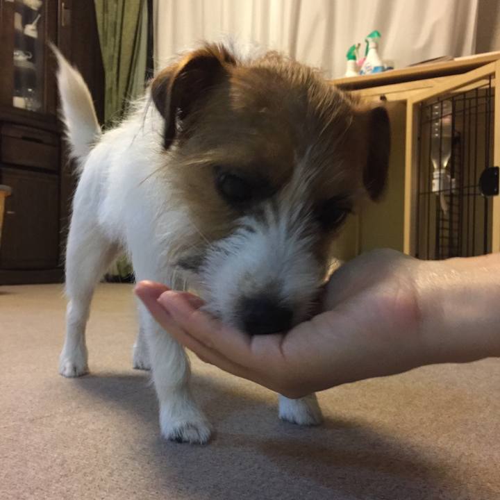 8e18d037 244b 42d2 8934 42871a7d3efe