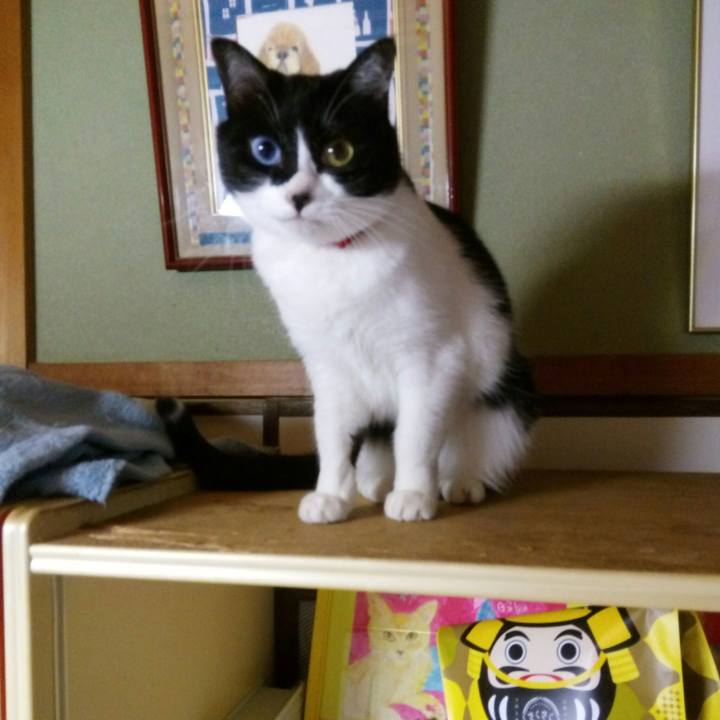 8e18ee08 2464 405e 902d ec364d5cf022