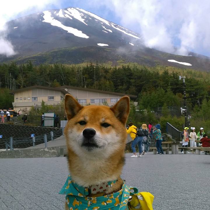 8e191569 18e3 4dd7 b42d 1db42d4cf207