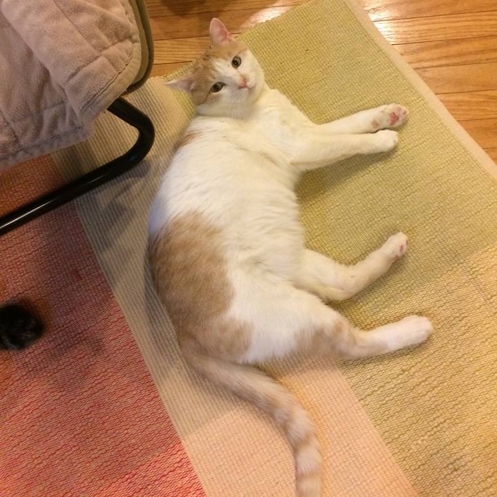 8e1958a6 7d43 4a3b 92c0 4b014e8ce4f5