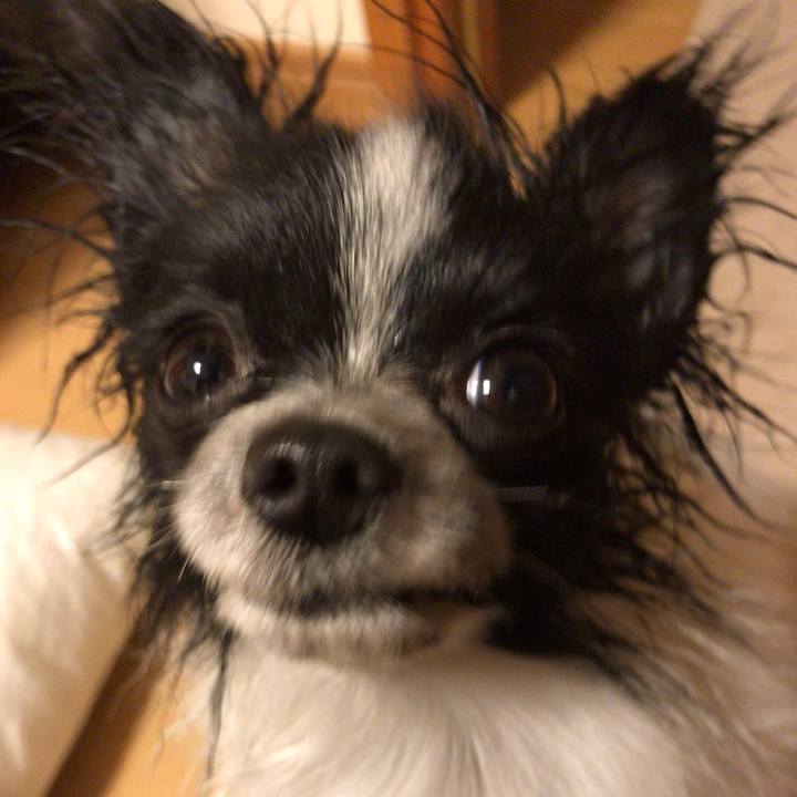 8e19edca 5ed2 49b1 9956 42fac63d58e9