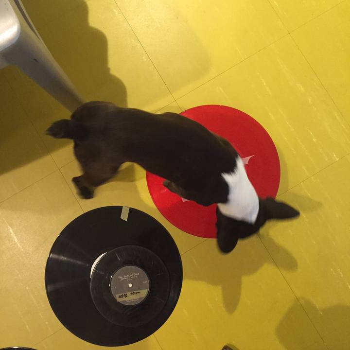 8e1a0d86 ffcd 4ee2 a0c0 79cb10bbcb1f