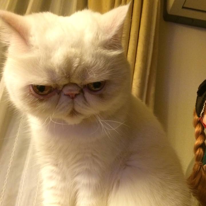 8e1a9fb9 71a7 4e4e 9ac8 f92b09800845