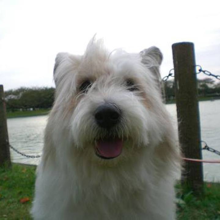 8e1b62fe 79c0 409d 913f 6e73176cad92