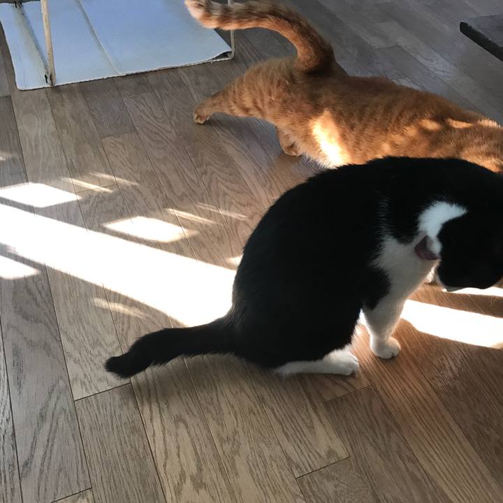 8e1bc5e8 d764 496d 8d84 231a425d21ba