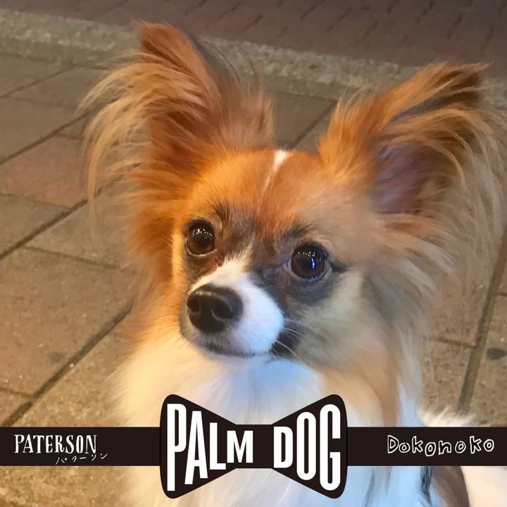 8e1c18b7 f8a0 4cf0 84a6 2cd84530f3c5