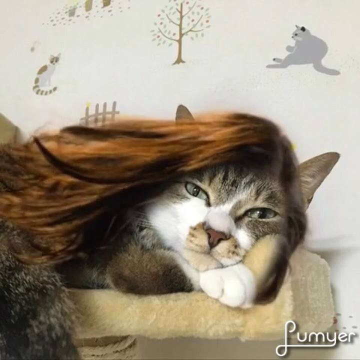 8e1c50ac 889b 448d b9b9 bdaa058ffb5e