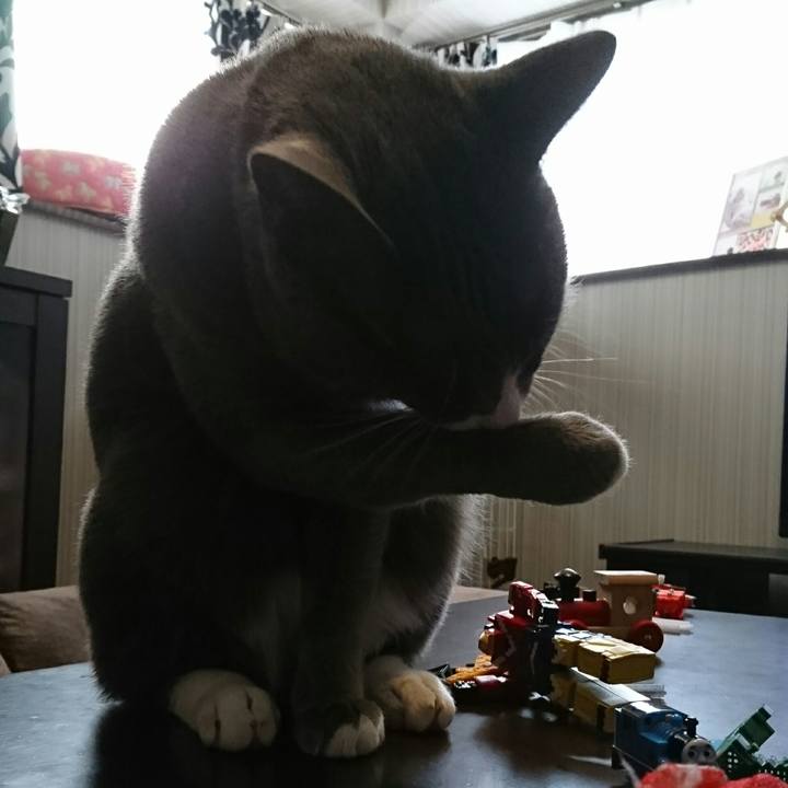 8e1cc22c 5bf8 43df b073 cb1fc6faf052