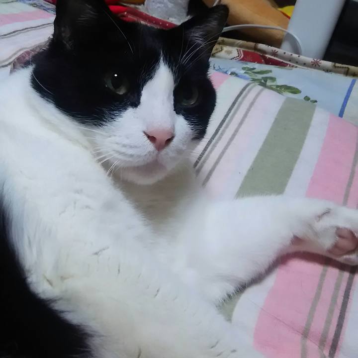 8e1cf62f f799 48a9 b126 0dae3d80bebb